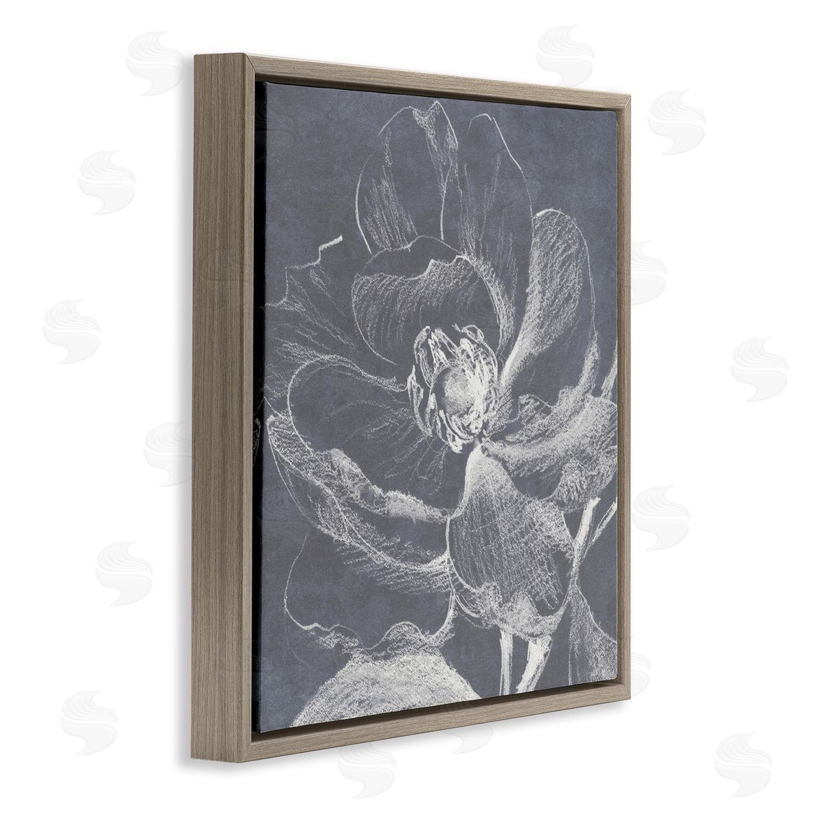Lanie Loreth Magnolia Sketch Impression Brown Floating Frame Canvas Wall Art Print
