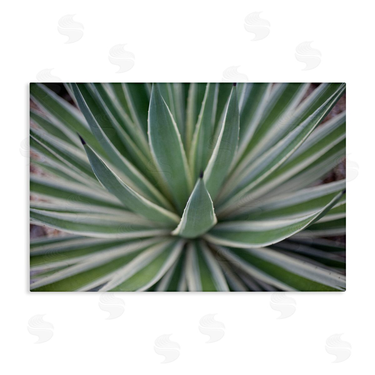 Striped Plant Leaves Canvas Wall Art, Home Decor by Susan Bryant