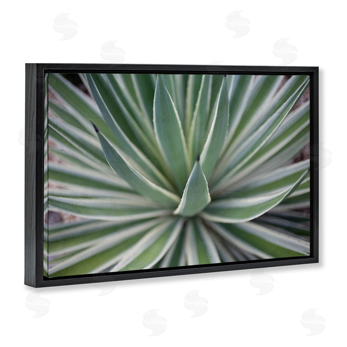 Striped Plant Leaves Black Floating Frame Canvas Wall Art, Home Decor by Susan Bryant