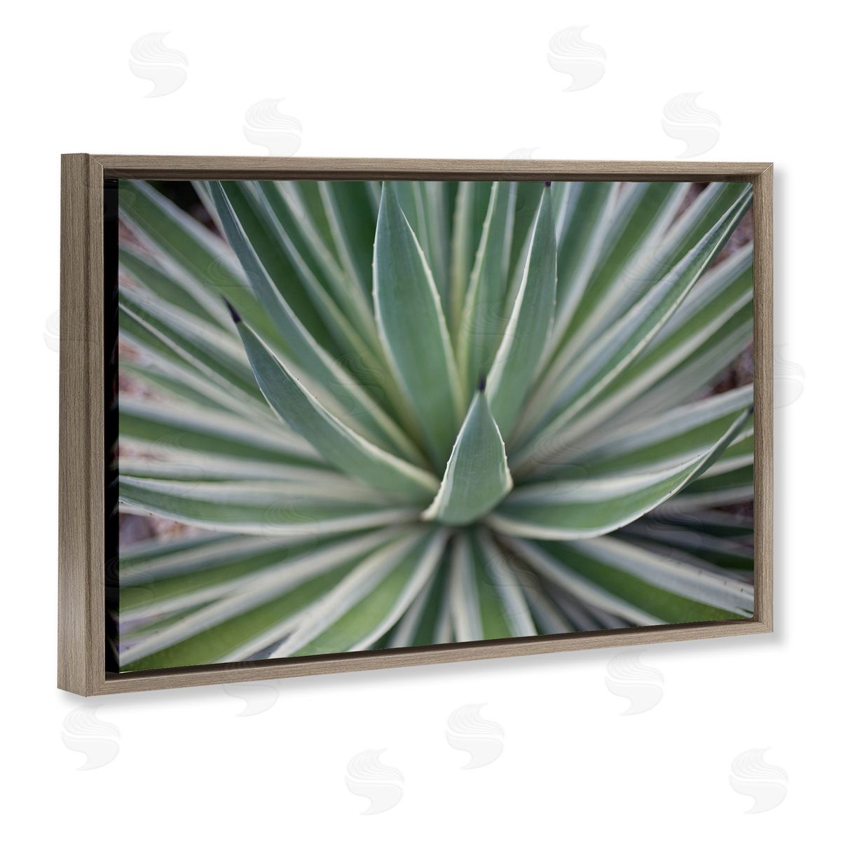 Striped Plant Leaves Brown Floating Frame Canvas Wall Art, Home Decor by Susan Bryant