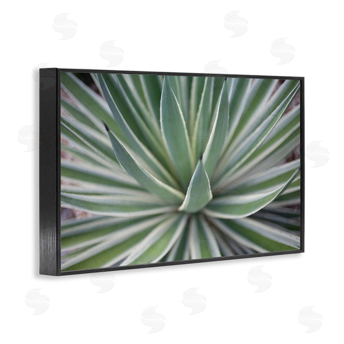 Striped Plant Leaves Black Frame Print Wall Art, Home Decor by Susan Bryant