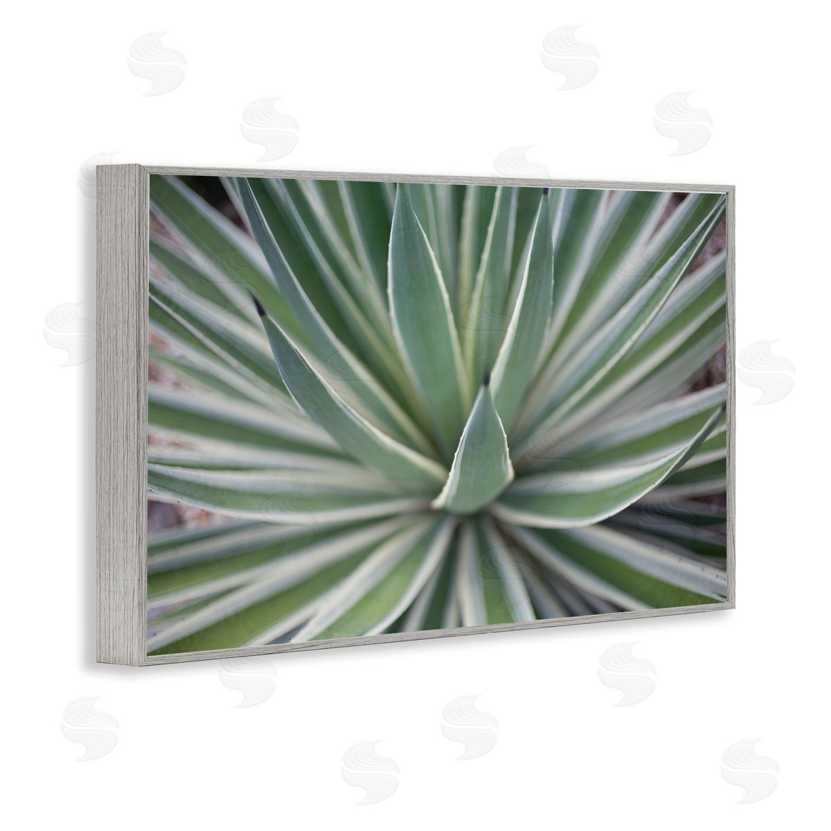 Striped Plant Leaves Grey Frame Print Wall Art, Home Decor by Susan Bryant