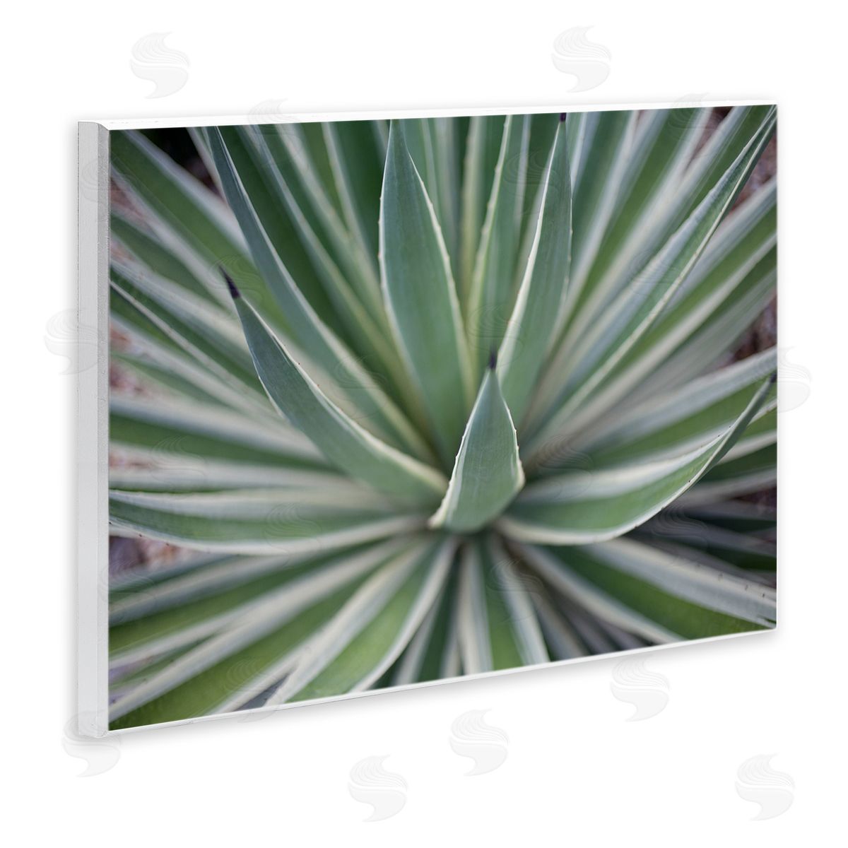 Striped Plant Leaves Wood Plaque Wall Art, Home Decor by Susan Bryant