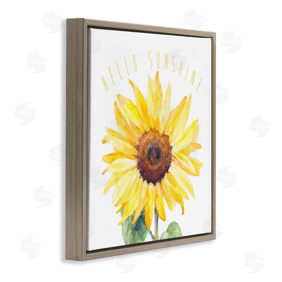 Lanie Loreth Hello Sunshine Bloom Brown Floating Frame Canvas Wall Art Print