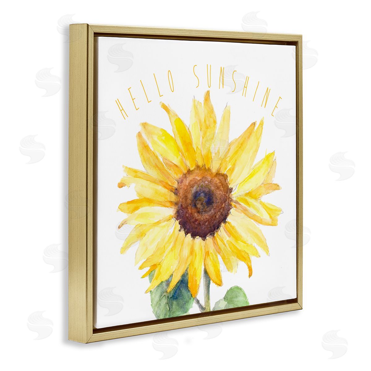 Lanie Loreth Hello Sunshine Bloom Gold Floating Frame Canvas Wall Art Print
