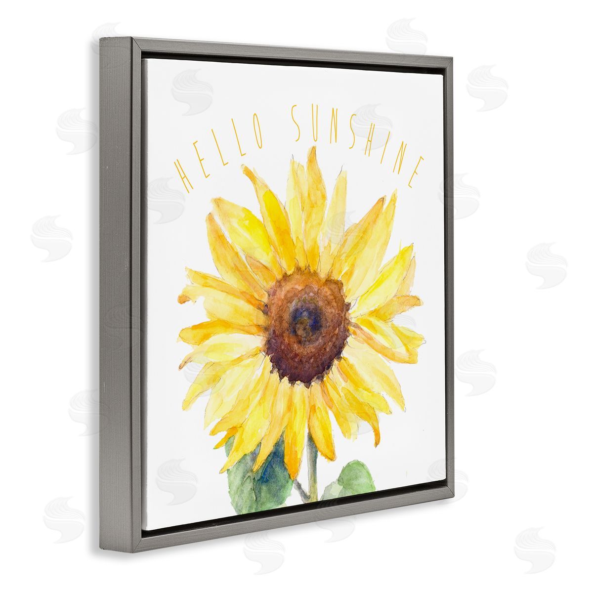 Lanie Loreth Hello Sunshine Bloom Gray Floating Frame Canvas Wall Art Print