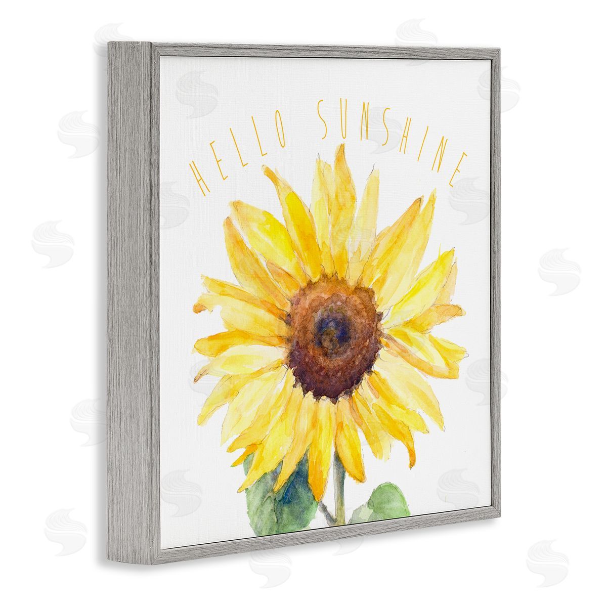 Lanie Loreth Hello Sunshine Bloom Gray Framed Giclee Wall Art Print