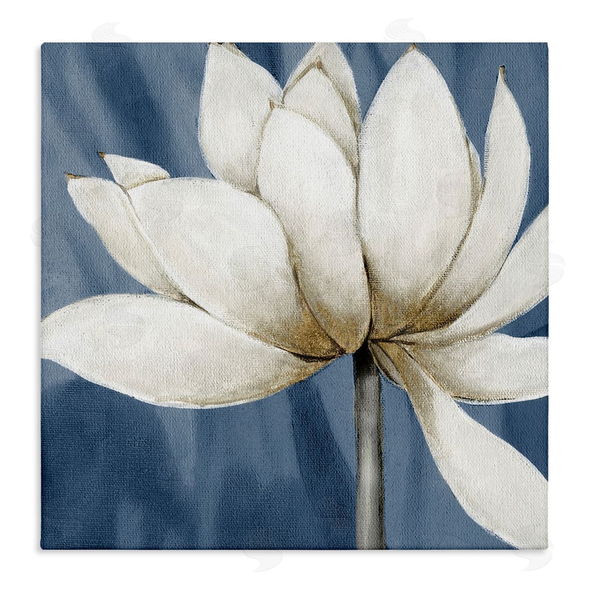White Lotus Petals Canvas Wall Art, Home Decor by Carol Robinson