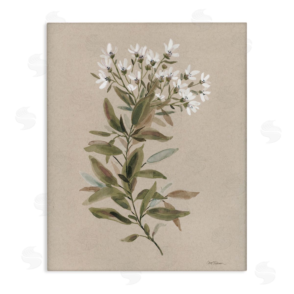 Watercolor Wildflower Sprig Canvas Wall Art, Home Decor by Carol Robinson