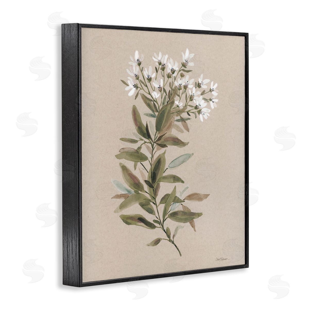 Watercolor Wildflower Sprig Black Frame Print Wall Art, Home Decor by Carol Robinson
