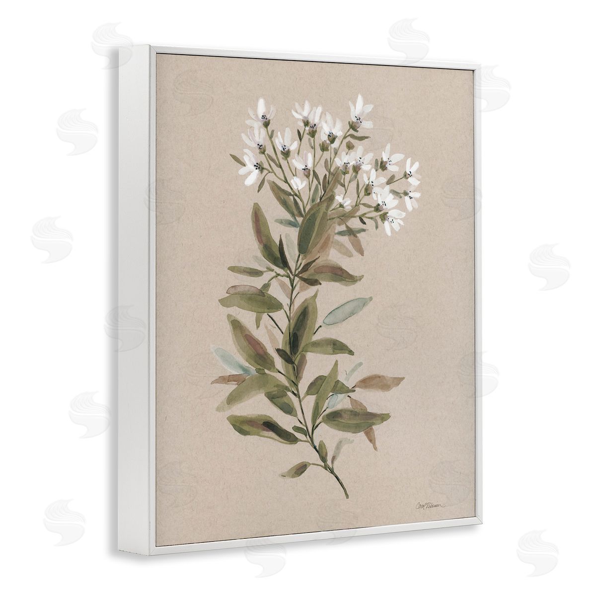 Watercolor Wildflower Sprig White Frame Print Wall Art, Home Decor by Carol Robinson