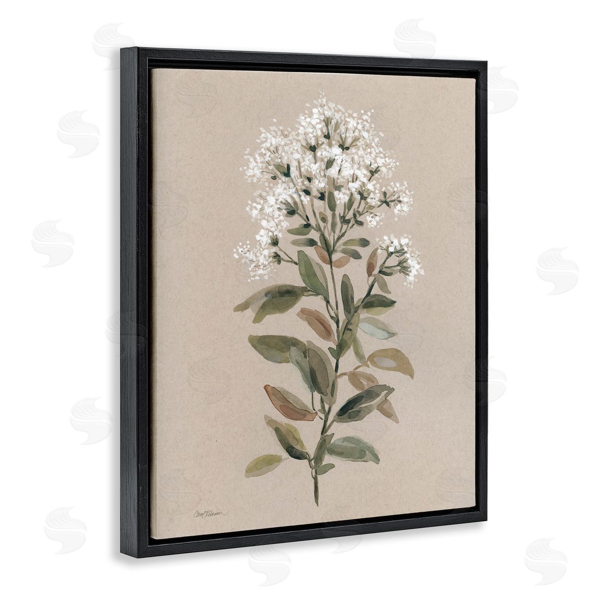 Blooming Watercolor Flower Black Floating Frame Canvas Wall Art, Home Decor by Carol Robinson