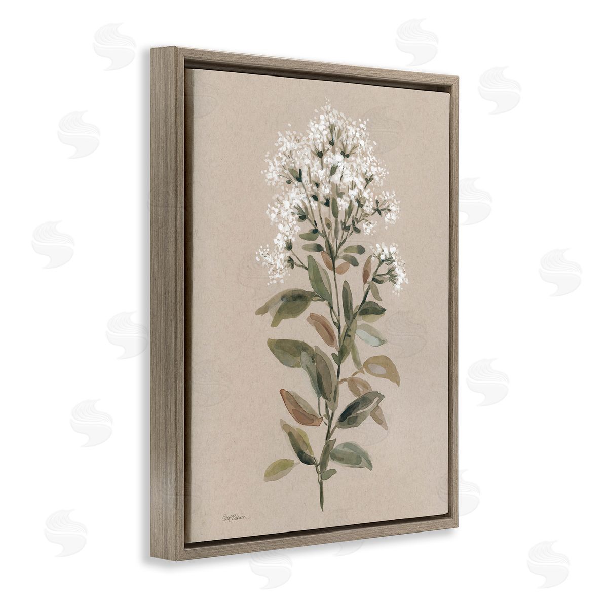 Blooming Watercolor Flower Brown Floating Frame Canvas Wall Art, Home Decor by Carol Robinson