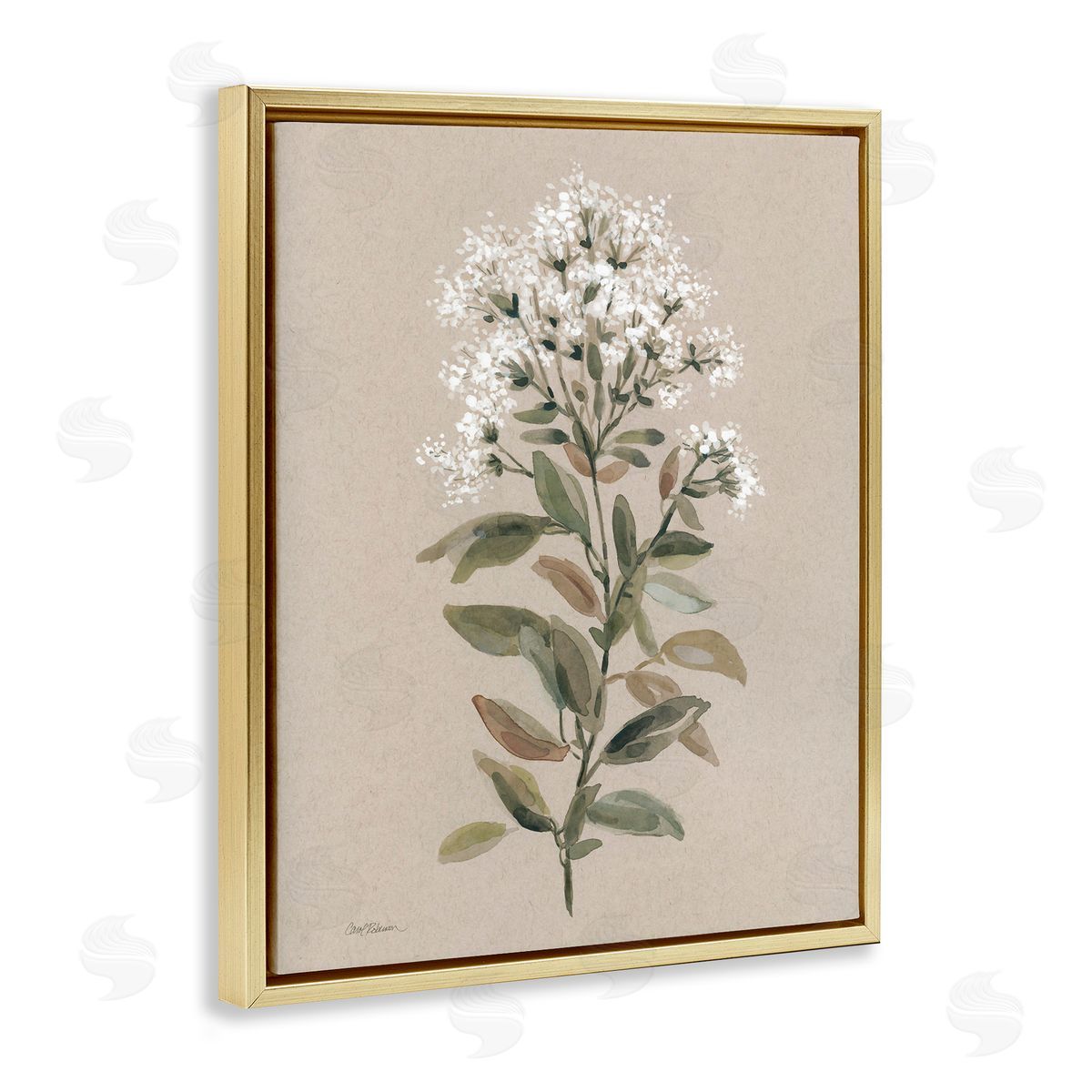 Blooming Watercolor Flower Gold Floating Frame Canvas Wall Art, Home Decor by Carol Robinson