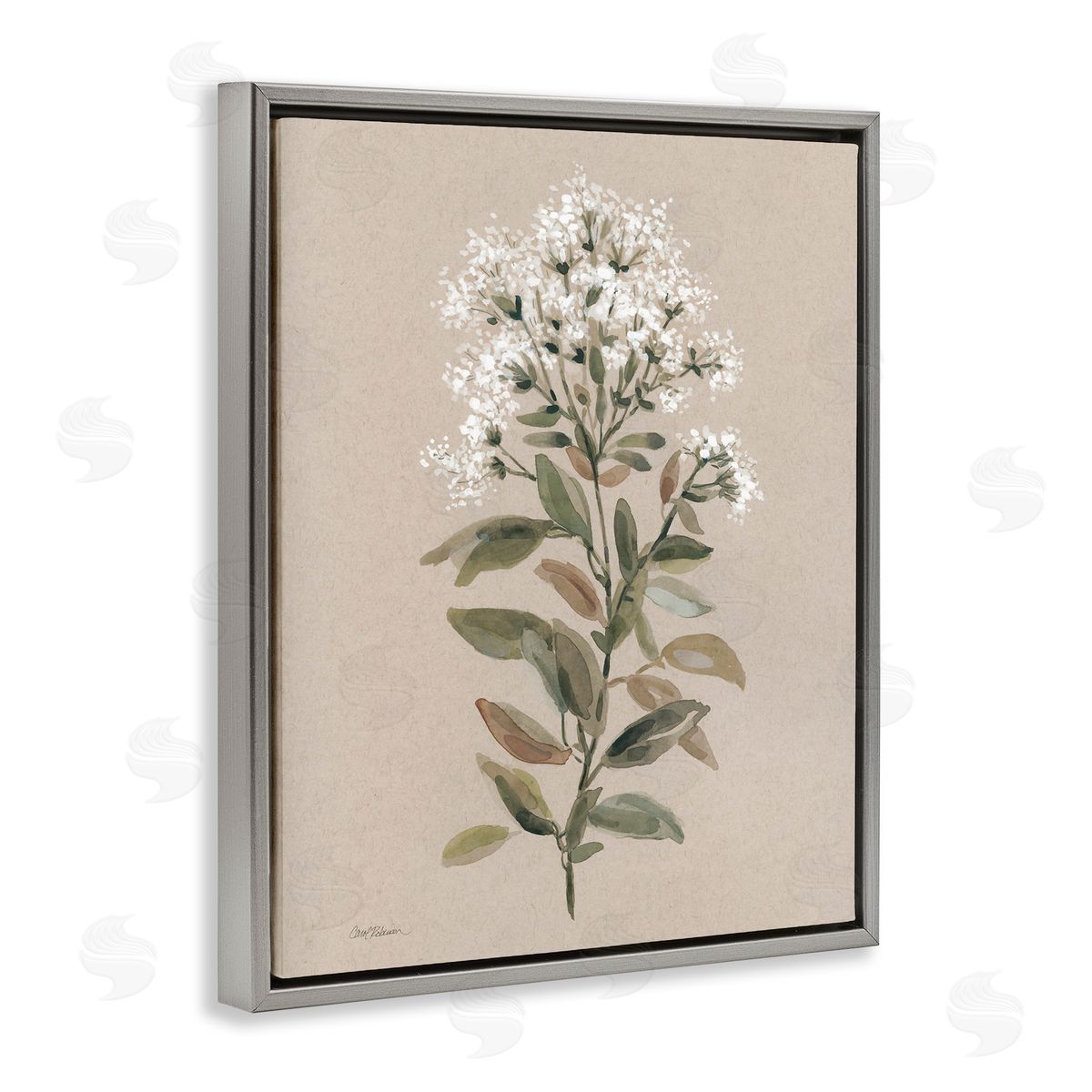Blooming Watercolor Flower Grey Floating Frame Canvas Wall Art, Home Decor by Carol Robinson