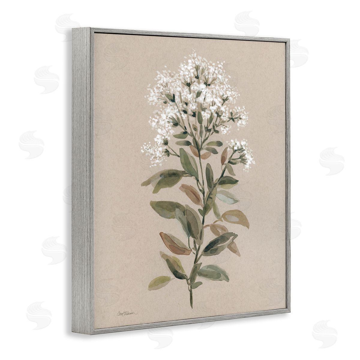 Blooming Watercolor Flower Grey Frame Print Wall Art, Home Decor by Carol Robinson