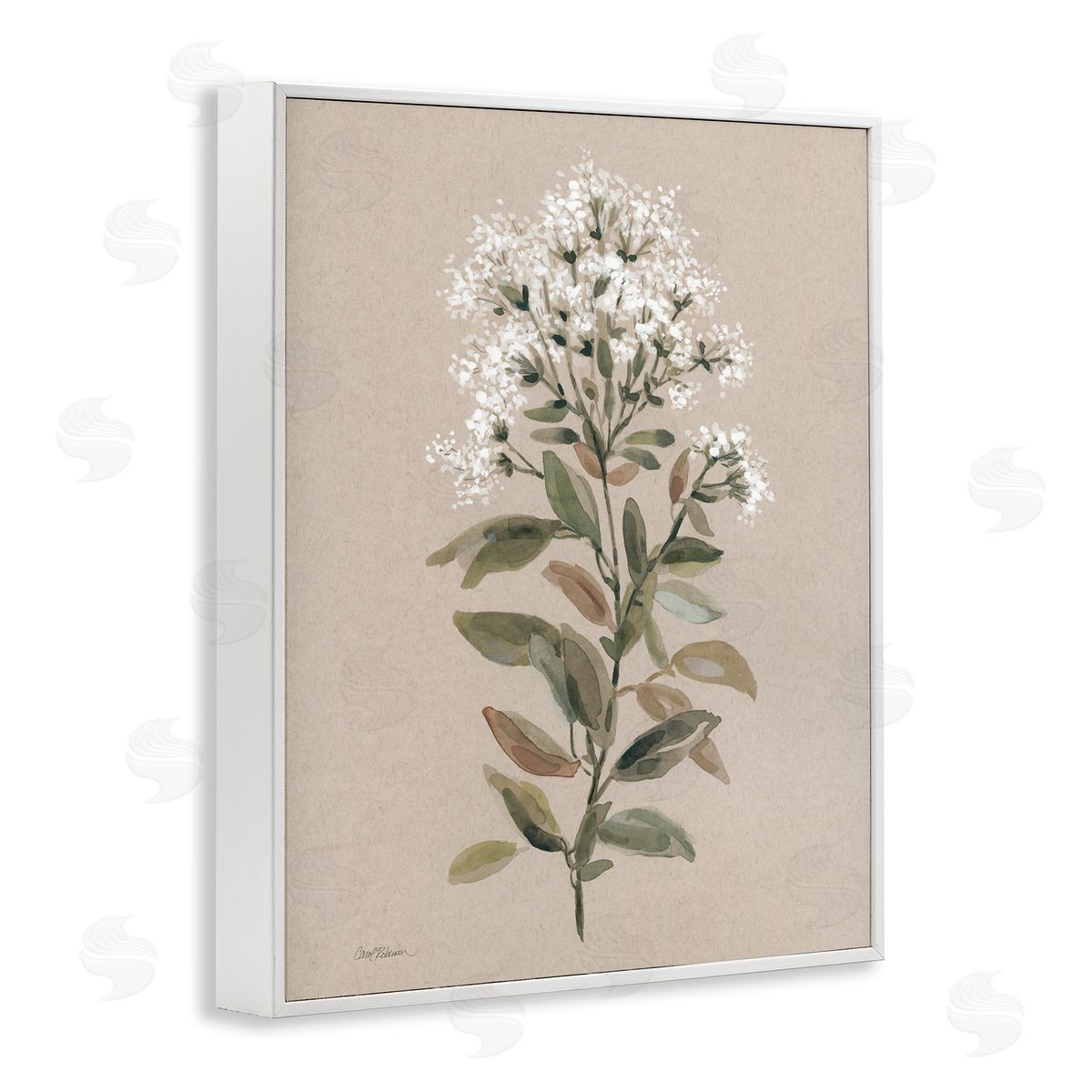Blooming Watercolor Flower White Frame Print Wall Art, Home Decor by Carol Robinson