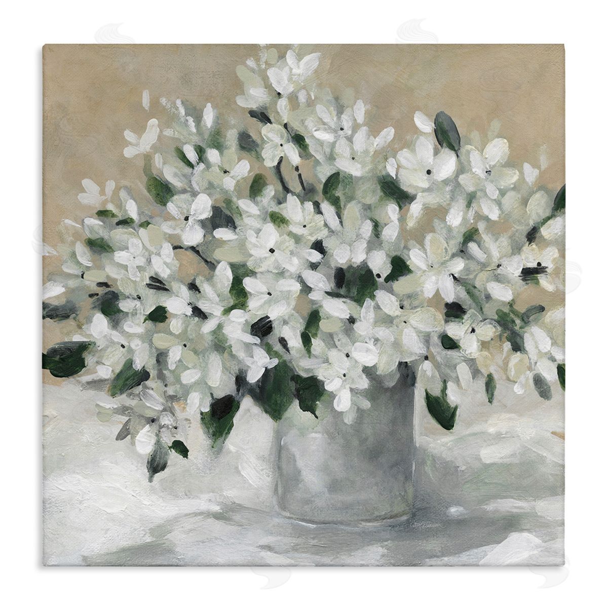 Potted White Blooms Canvas Wall Art, Home Decor by Carol Robinson