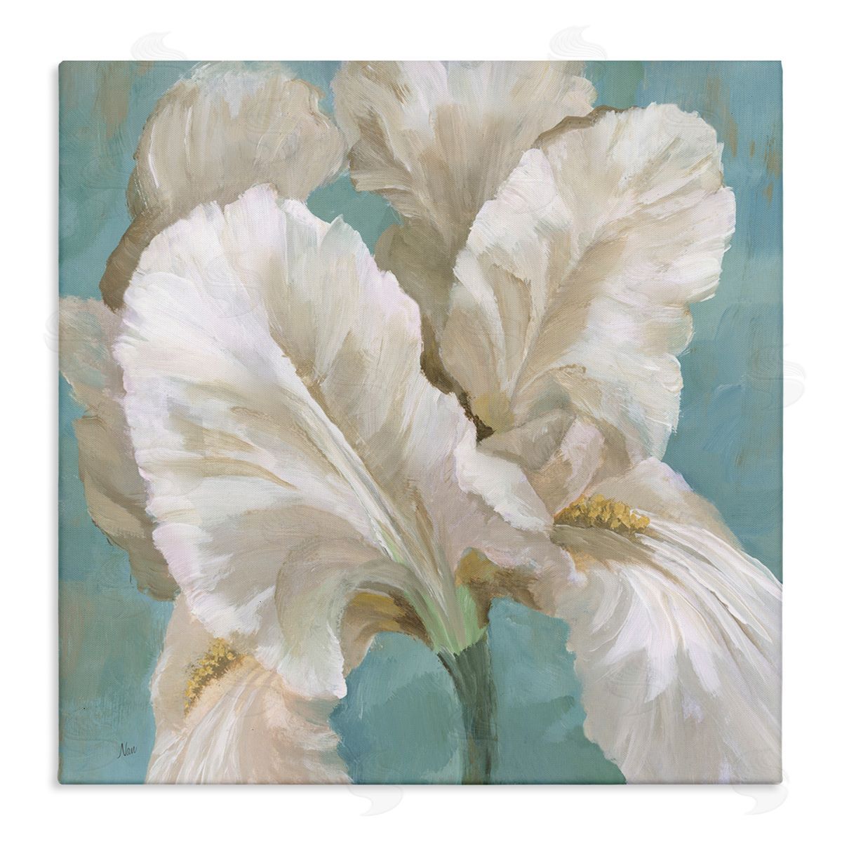 White Iris Petals Canvas Wall Art, Home Decor by Nan