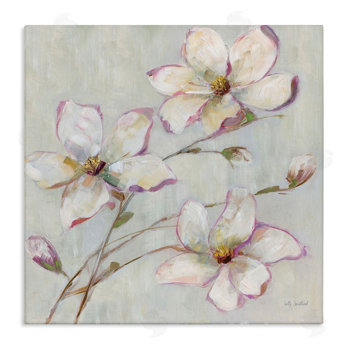 Apple Blossom Botanicals Canvas Wall Art, Home Decor by Sally Swatland