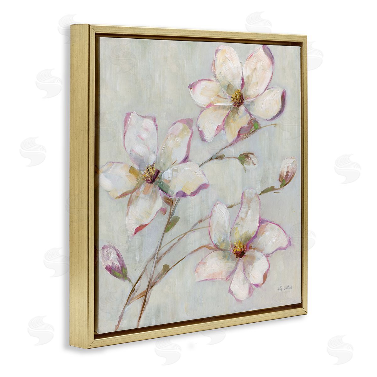 Apple Blossom Botanicals Gold Floating Frame Canvas Wall Art, Home Decor by Sally Swatland