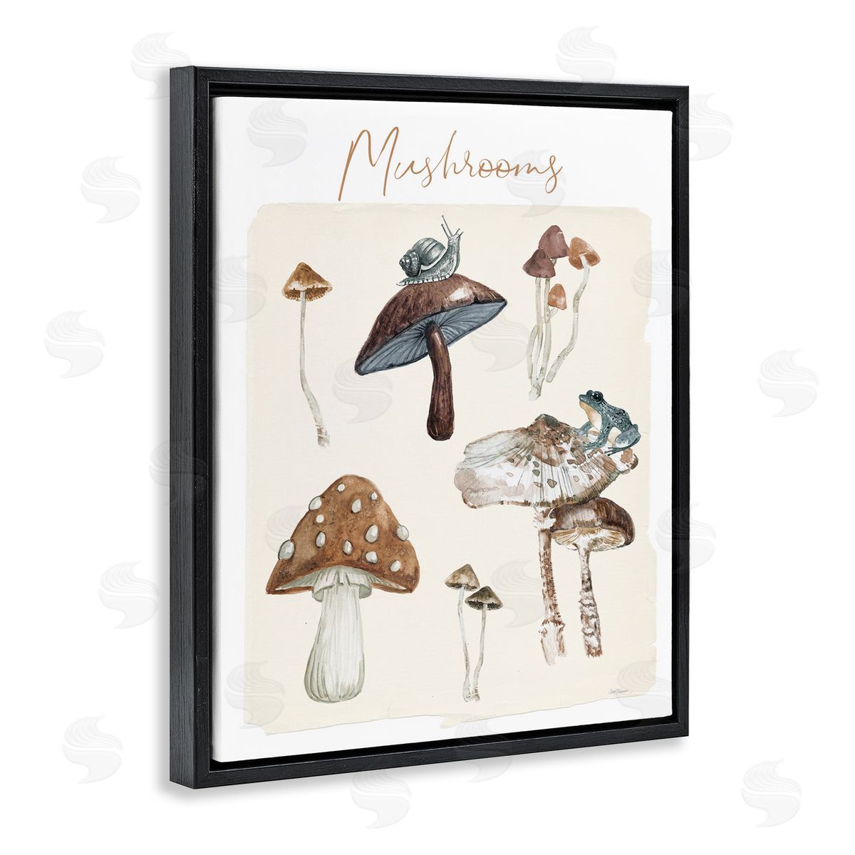 Assorted Mushrooms Study Black Floating Frame Canvas Wall Art, Home Decor by Carol Robinson