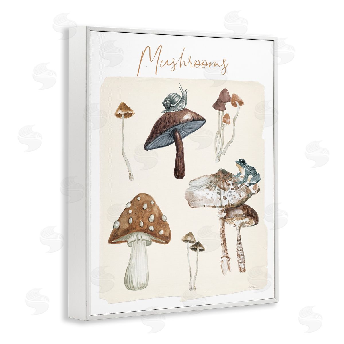 Assorted Mushrooms Study White Frame Print Wall Art, Home Decor by Carol Robinson