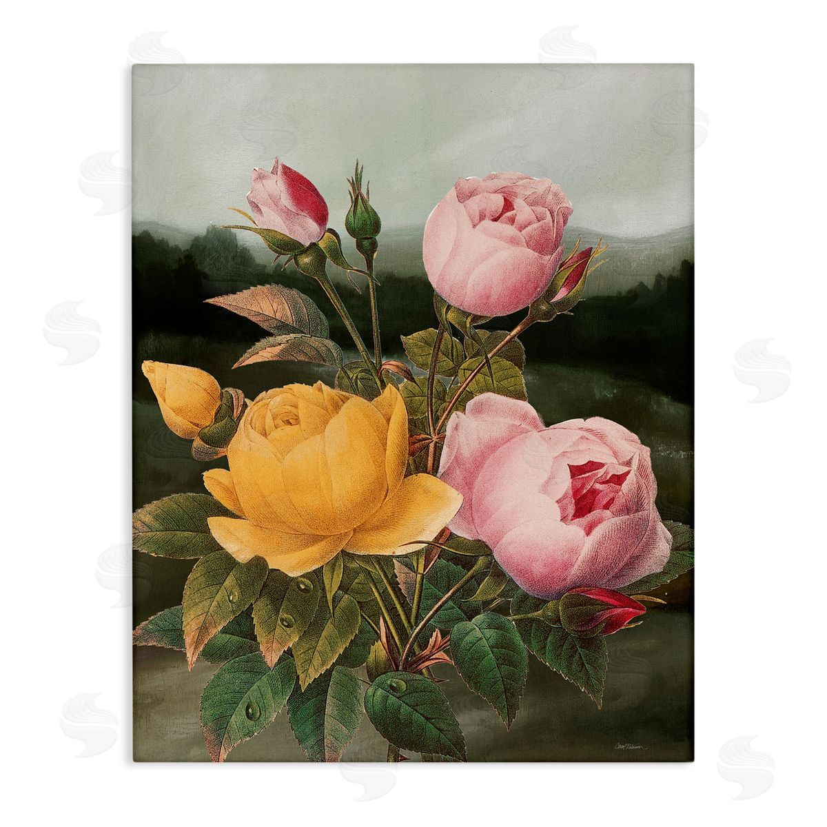 Vintage Peony Blooms Canvas Wall Art, Home Decor by Carol Robinson
