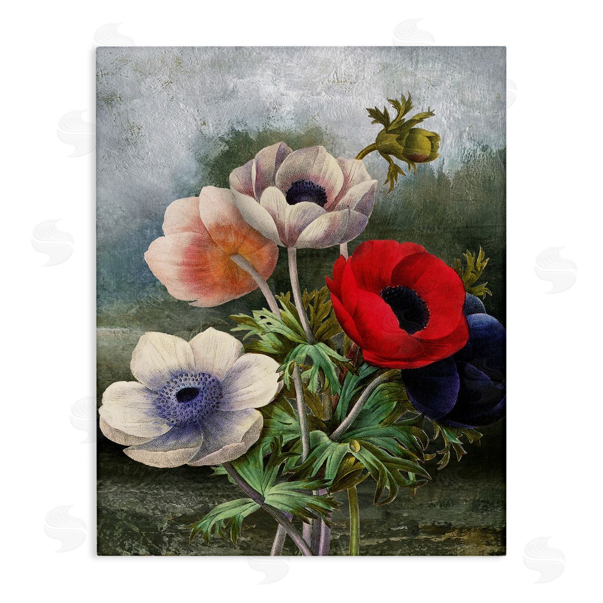 Assorted Vintage Poppies Canvas Wall Art, Home Decor by Carol Robinson