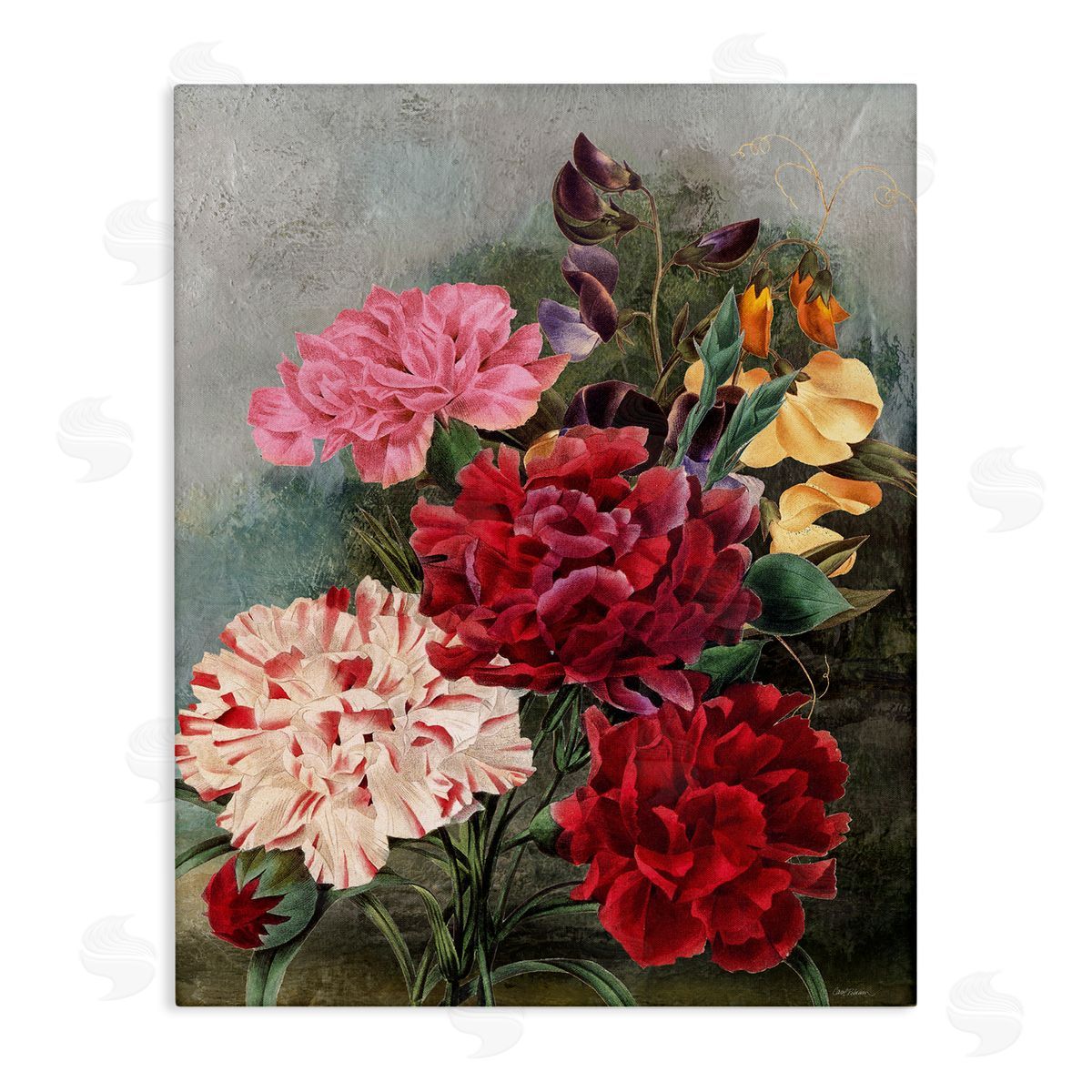 Vintage Geranium Blooms Canvas Wall Art, Home Decor by Carol Robinson