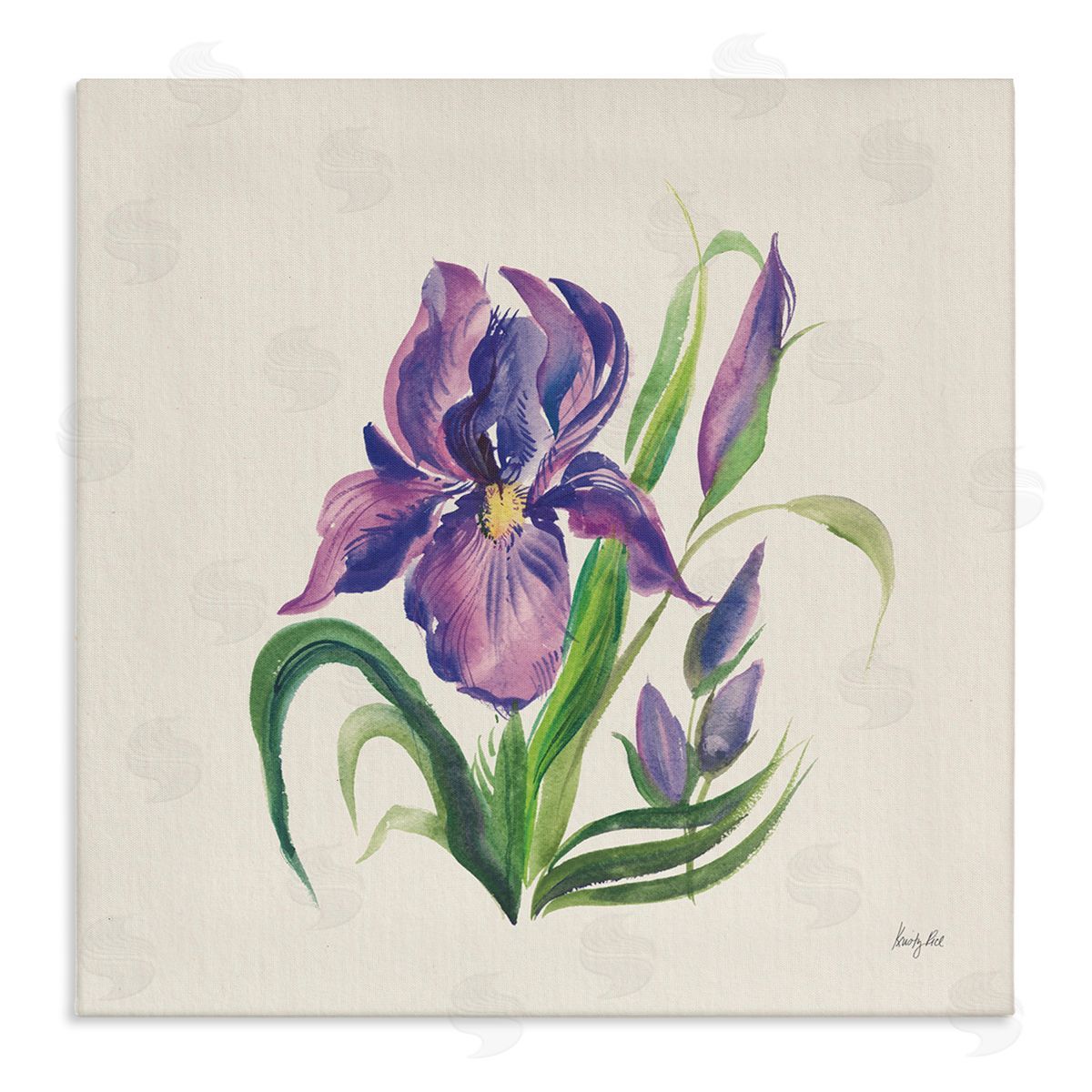 Purple Iris Flower Canvas Wall Art, Home Decor by Kristy Rice