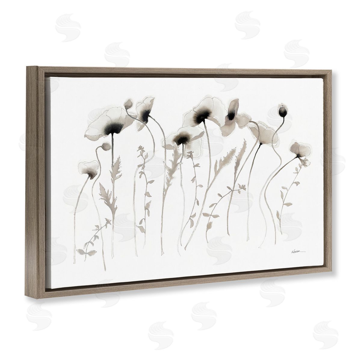 White Poppy Sprigs Brown Floating Frame Canvas Wall Art, Home Decor by Shirley Novak