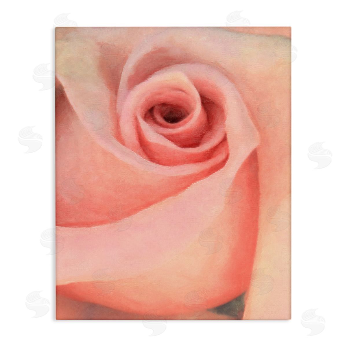Spiral Rose Anther Canvas Wall Art, Home Decor by Alonzo Saunders
