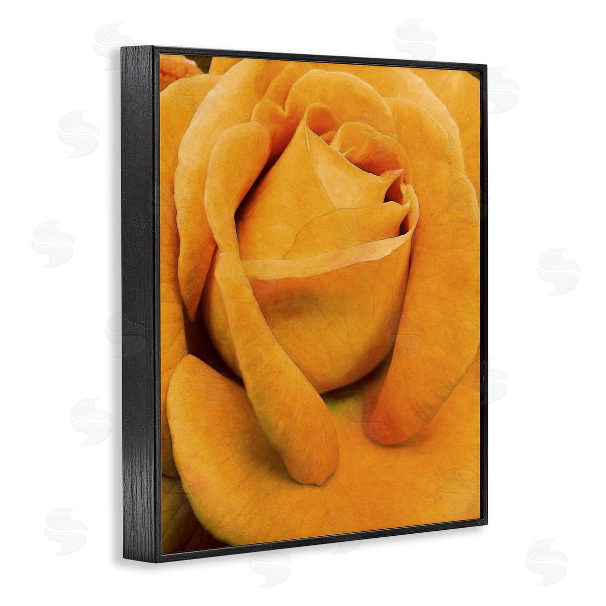 Yellow Rose Close Up Black Frame Print Wall Art, Home Decor by Alonzo Saunders