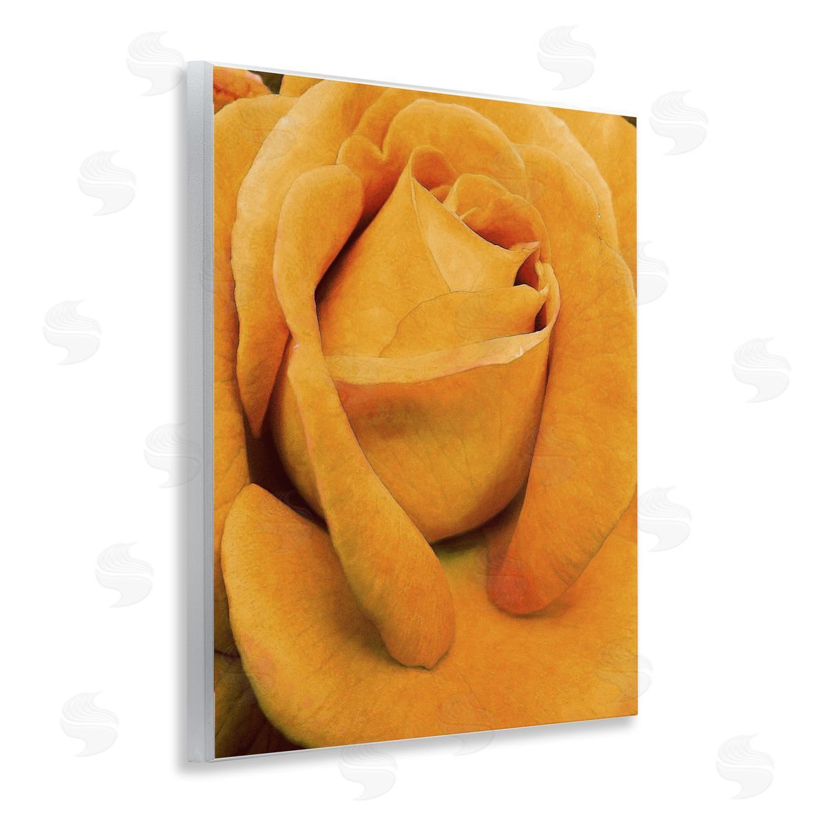 Yellow Rose Close Up Wood Plaque Wall Art, Home Decor by Alonzo Saunders