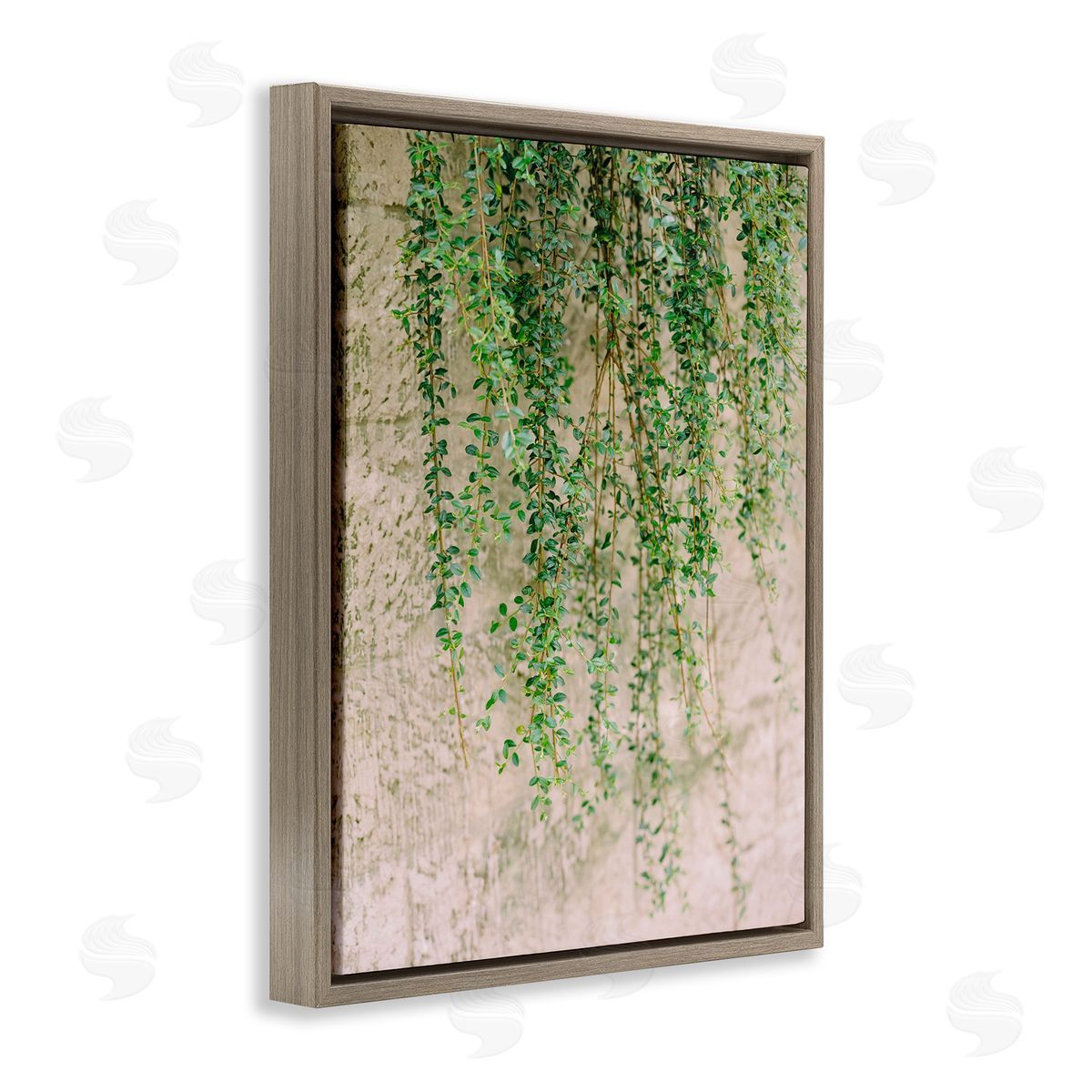 Hanging Ivy Vines Brown Floating Frame Canvas Wall Art, Home Decor by Justine Milton