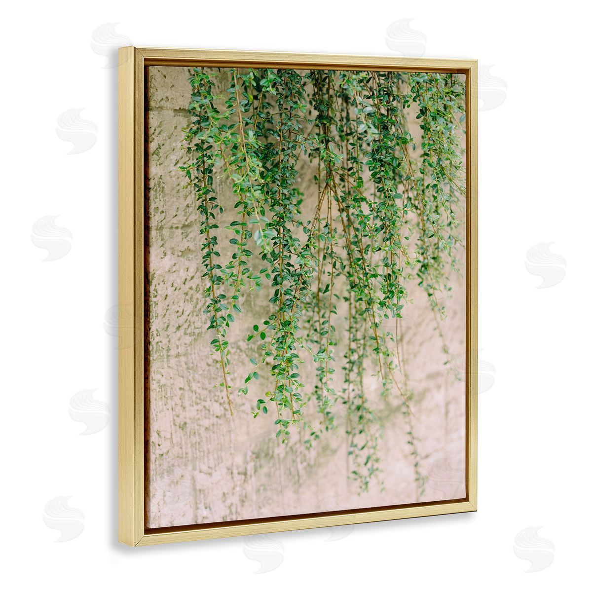 Hanging Ivy Vines Gold Floating Frame Canvas Wall Art, Home Decor by Justine Milton