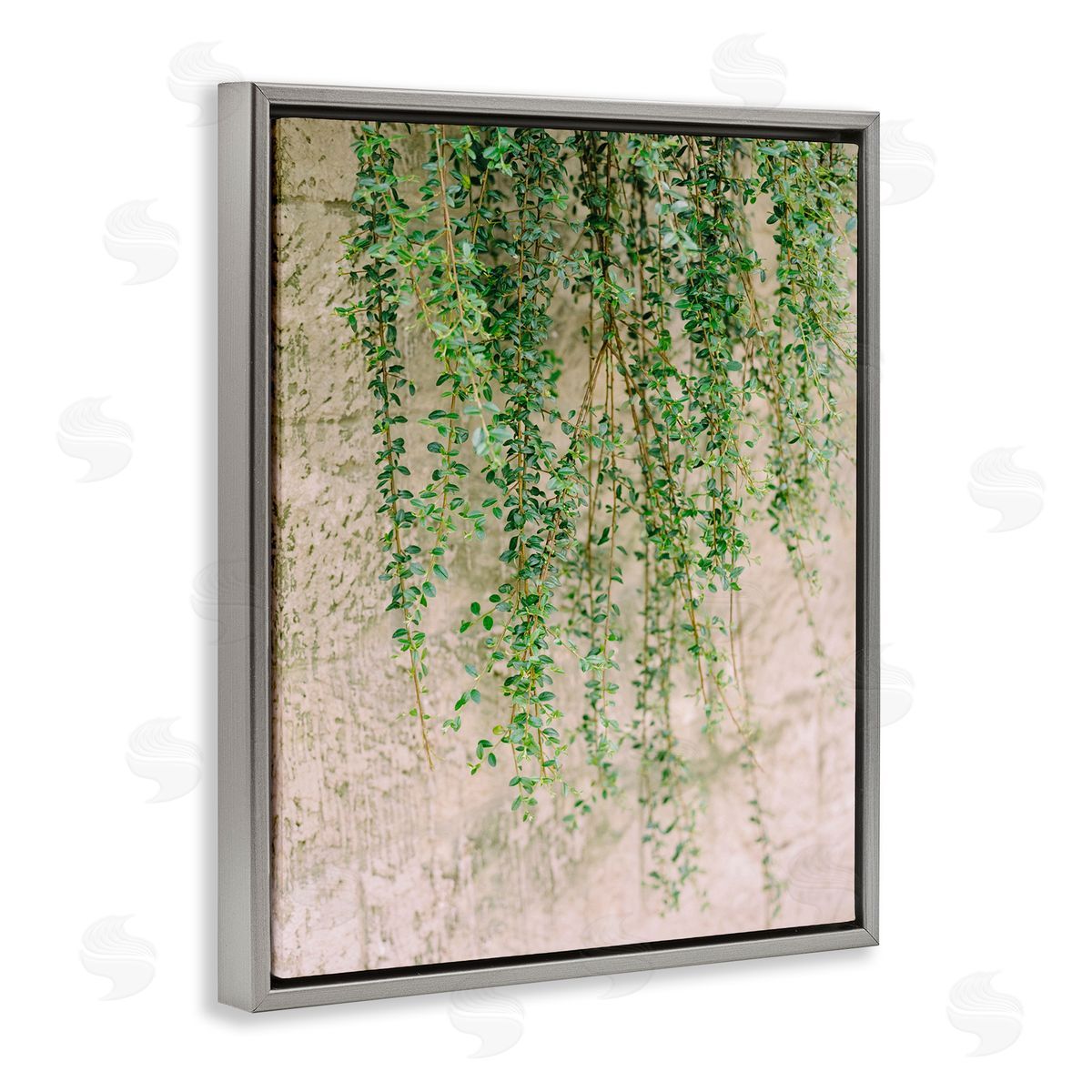 Hanging Ivy Vines Grey Floating Frame Canvas Wall Art, Home Decor by Justine Milton