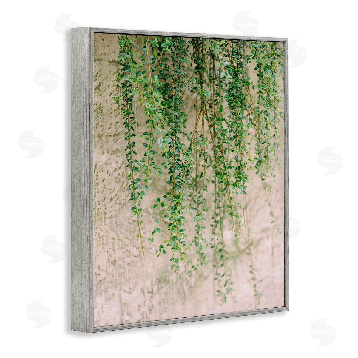 Hanging Ivy Vines Grey Frame Print Wall Art, Home Decor by Justine Milton