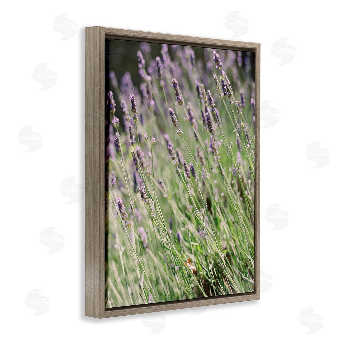 Country Lilac Garden Brown Floating Frame Canvas Wall Art, Home Decor by Justine Milton