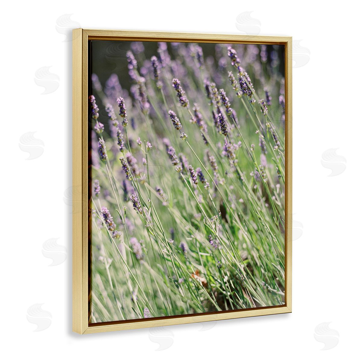 Country Lilac Garden Gold Floating Frame Canvas Wall Art, Home Decor by Justine Milton