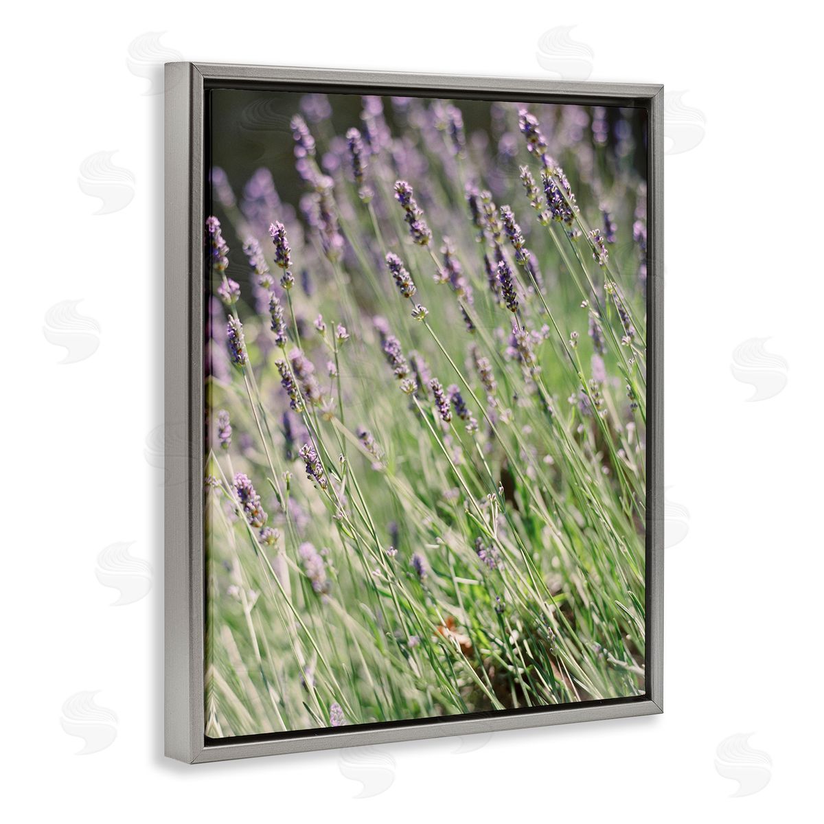 Country Lilac Garden Grey Floating Frame Canvas Wall Art, Home Decor by Justine Milton