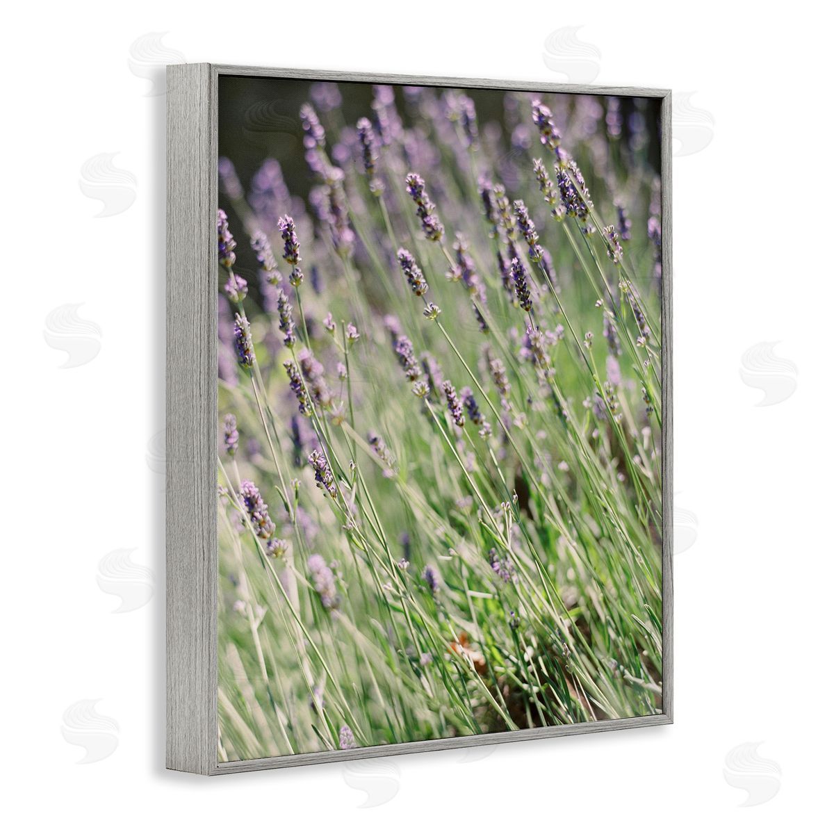 Country Lilac Garden Grey Frame Print Wall Art, Home Decor by Justine Milton