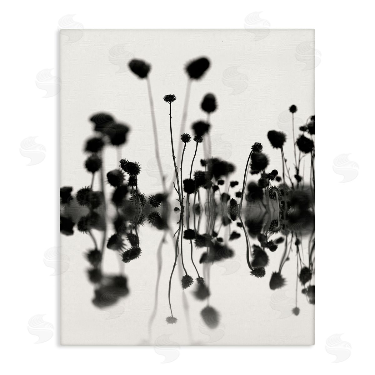 Abstract Botanical Sprigs Canvas Wall Art, Home Decor by Nicholas Bell