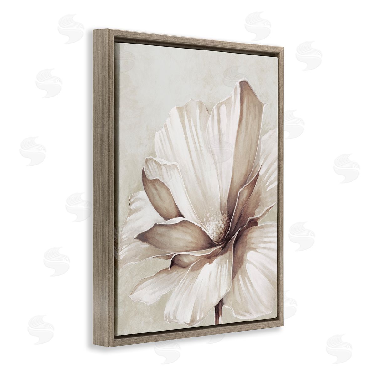 White Flower Petals Brown Floating Frame Canvas Wall Art, Home Decor by Cloverfield and Co.