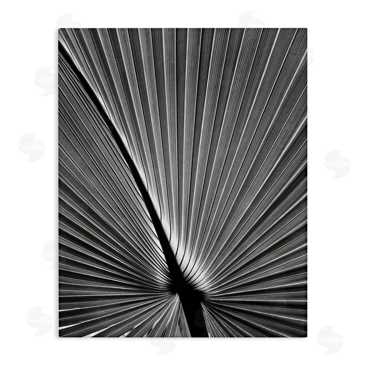 Palm Frond Detail Canvas Wall Art, Home Decor by Chip Forelli