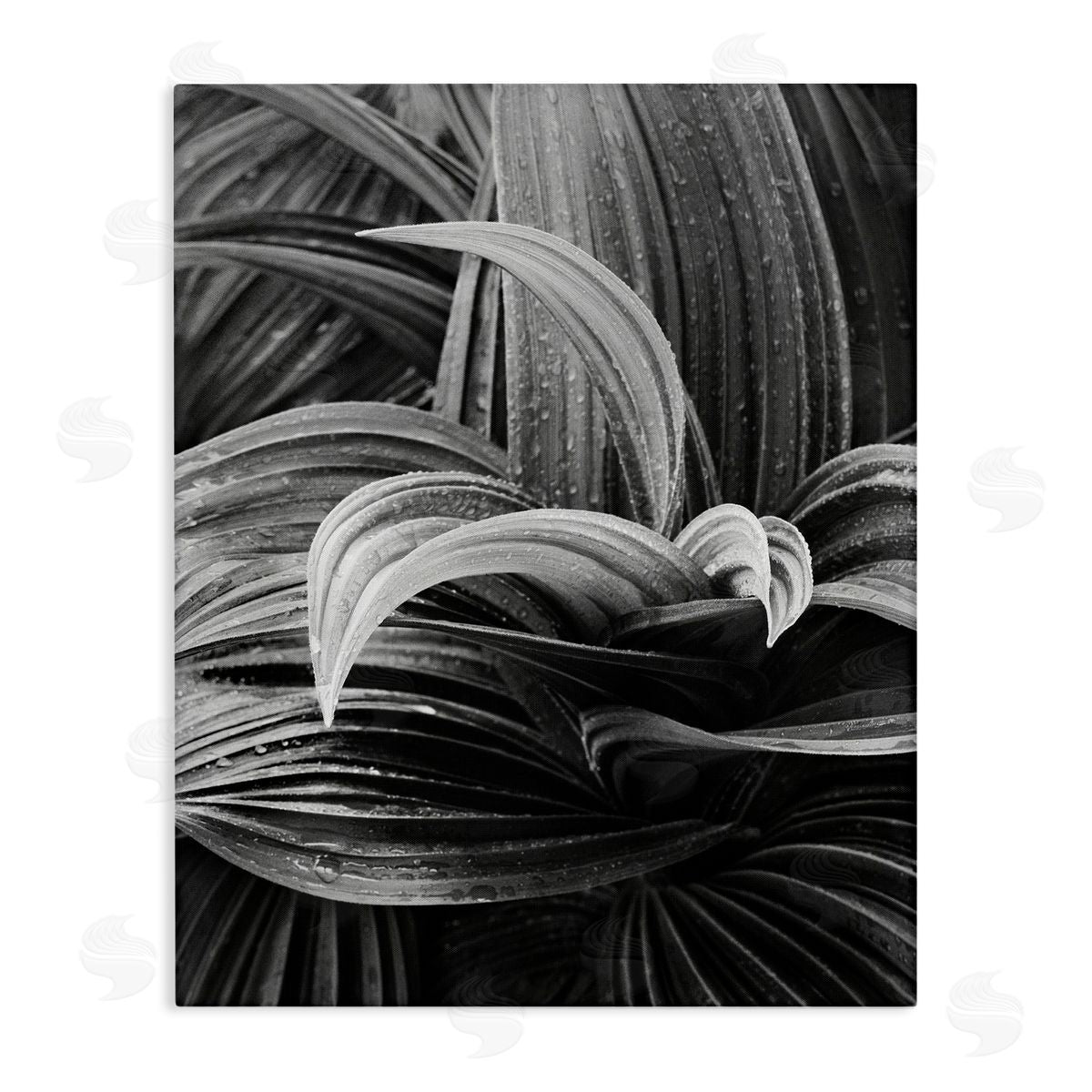 Wet Leaves Detail Canvas Wall Art, Home Decor by Chip Forelli