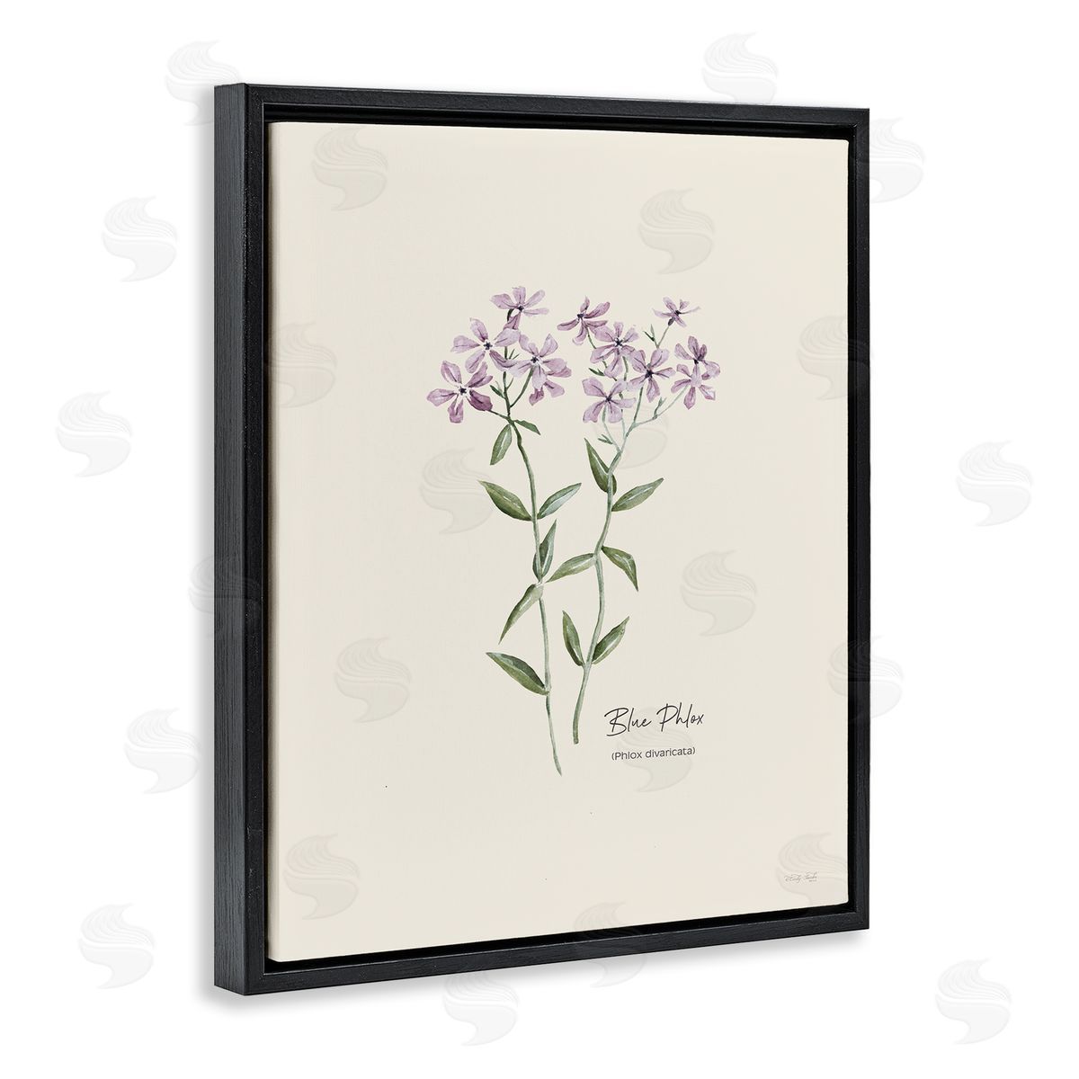 Country Herb Diagram Black Floating Frame Canvas Wall Art, Home Decor by Cindy Jacobs