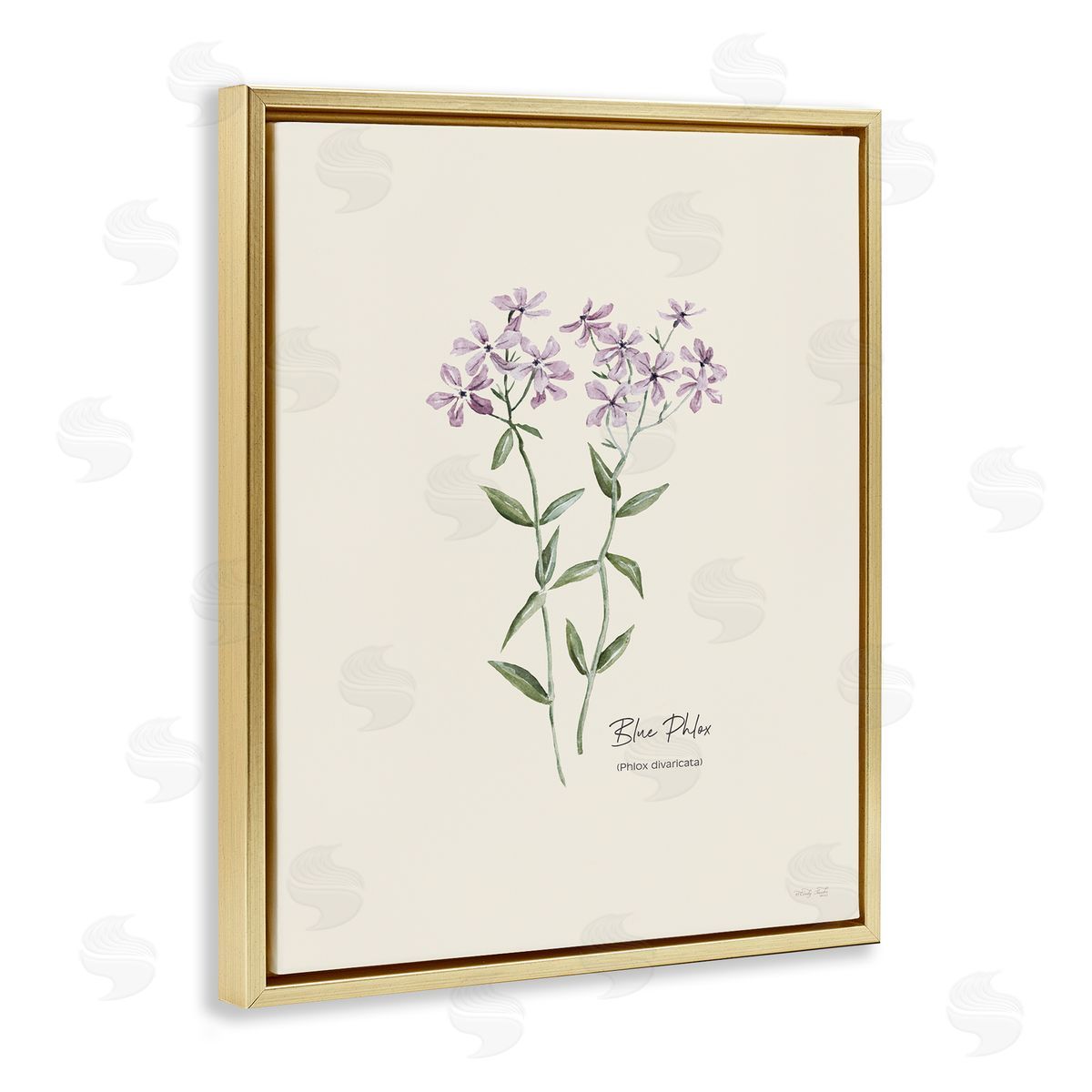 Country Herb Diagram Gold Floating Frame Canvas Wall Art, Home Decor by Cindy Jacobs