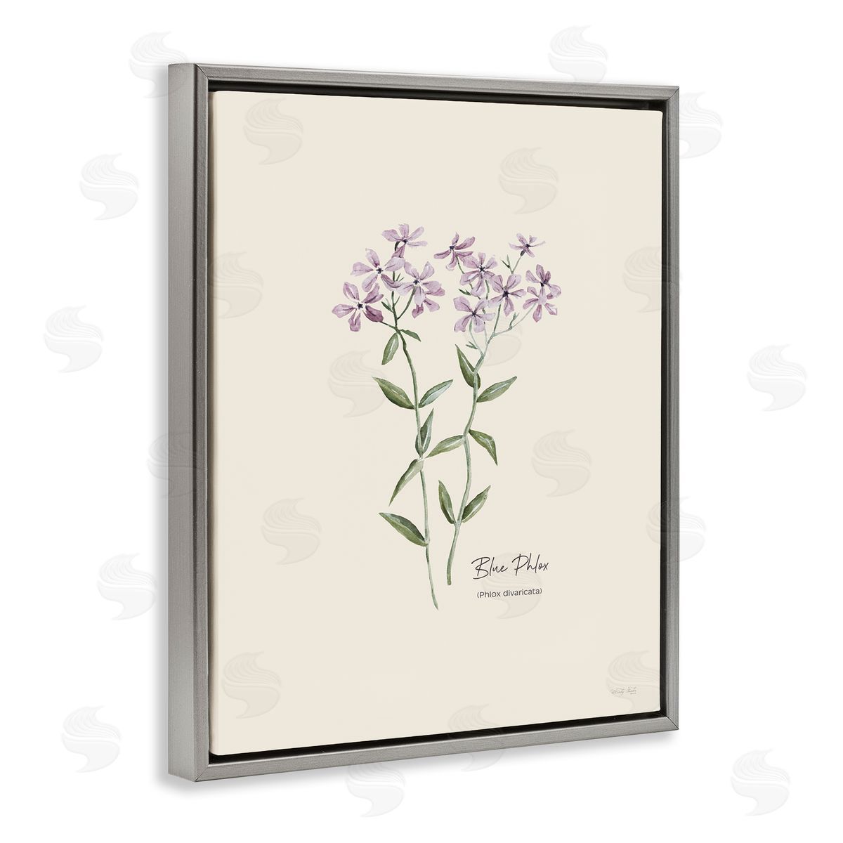 Country Herb Diagram Grey Floating Frame Canvas Wall Art, Home Decor by Cindy Jacobs